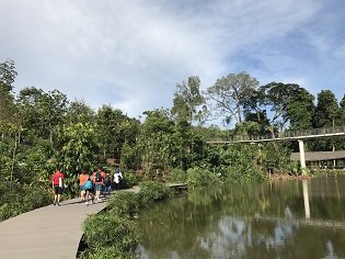  To celebrate World Wetlands Day 2019, join us and learn about the Keppel Discovery Wetland, a restored freshwater habitat of native flora and fauna. Walk through the different layers of tropical rainforest at the SPH Walk of Giants.