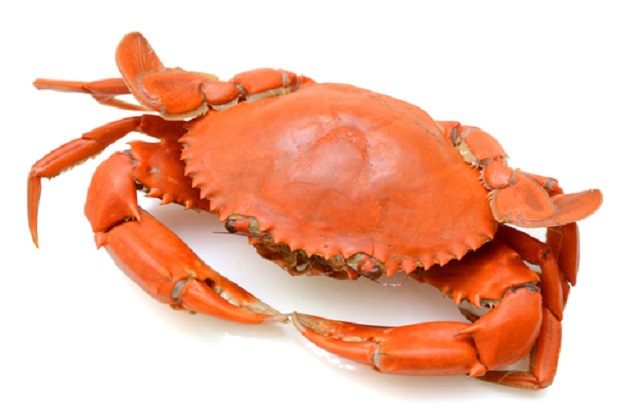 Can Pregnant Women Eat Crab