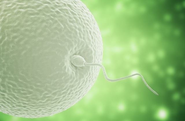 in-vitro fertilisation