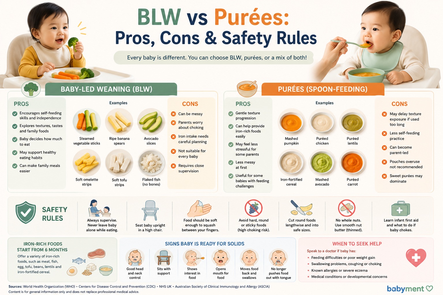  BLW vs Purées: Pros, Cons and Safety Rules for Starting Solids