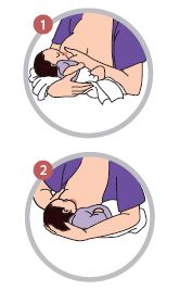Feeding Your Baby By Health Promotion Board © HealthHub