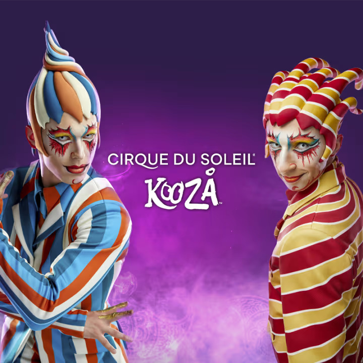 Cirque du Soleil