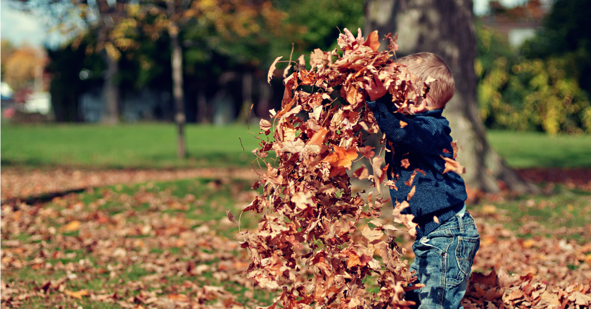 Tips on handling daily tantrums and instilling discipline for preschoolers