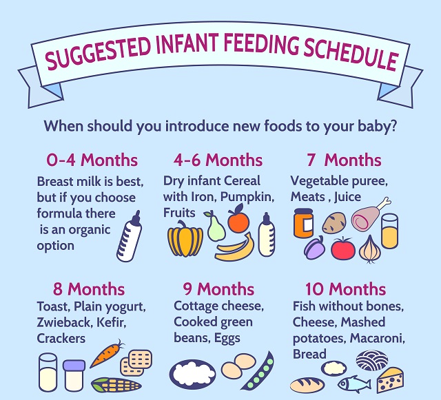 infant eating schedules - Togo.wpart.co