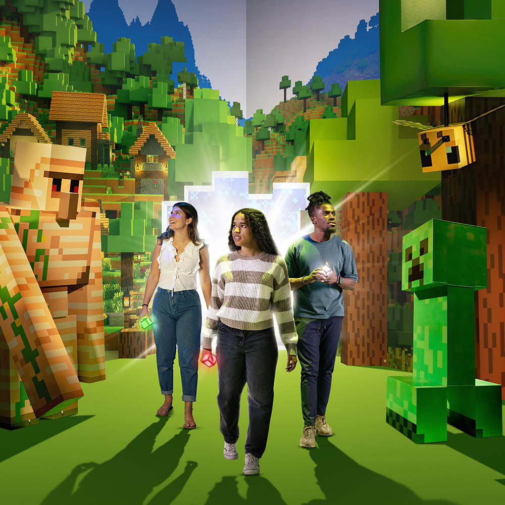 Minecraft Experience