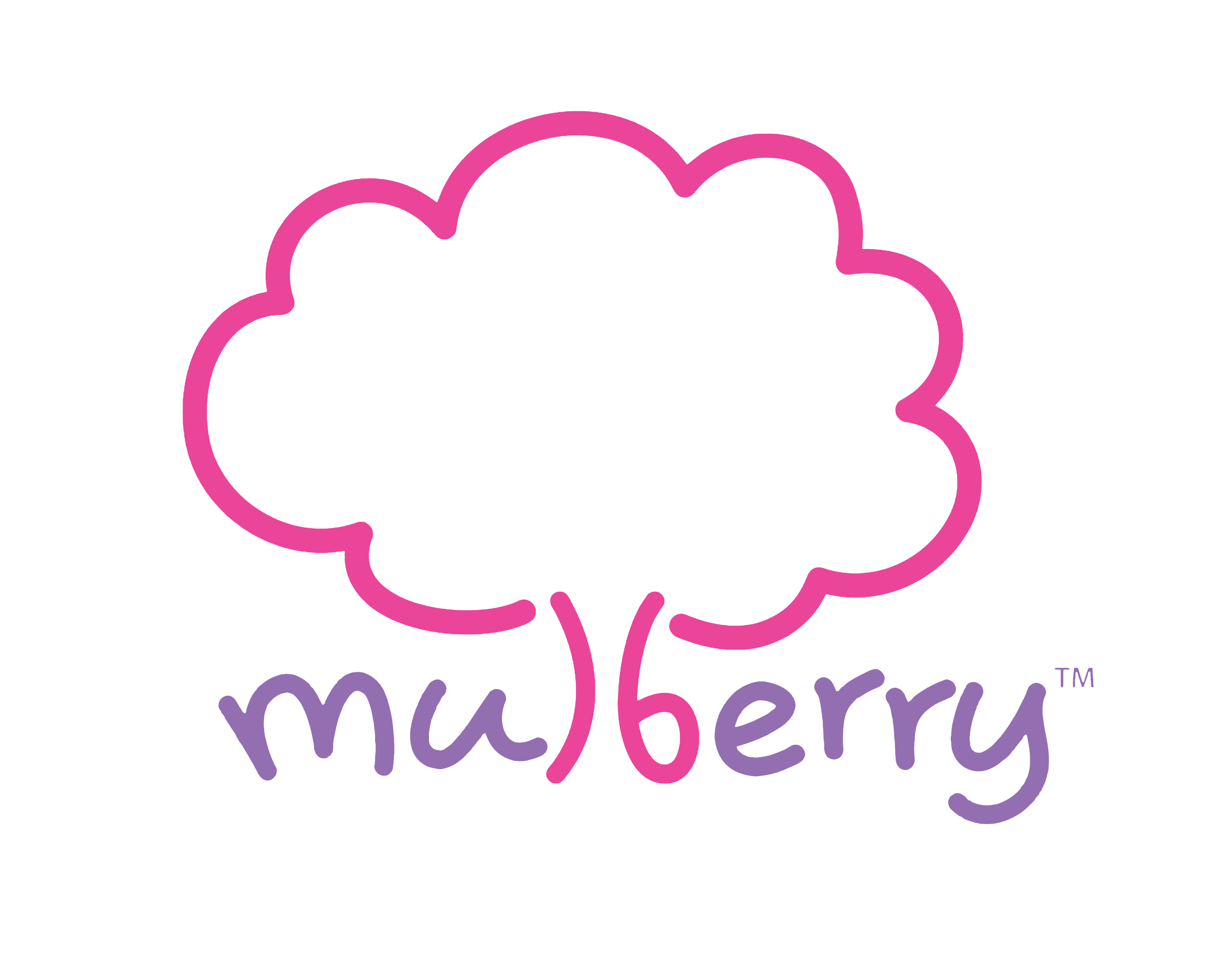 Mulberry Learning Virtual School Tour
