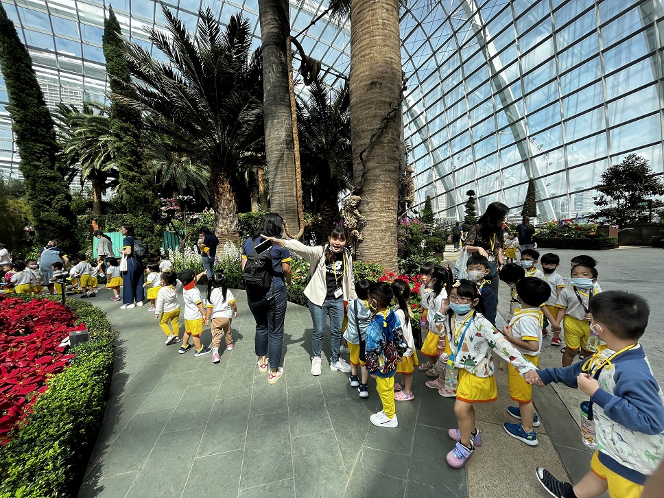 Top Preschool in Singapore - Sunflower Childcare