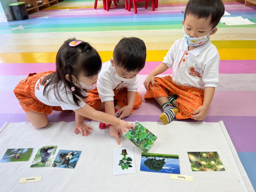 School Tour of Sunny Bunny Montessori Preschool