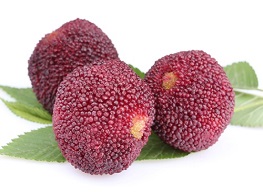 Can I eatBayberryduring conceivewhile we are trying to conceive. health benefit, nutrition value, side effect of the food on man and women’ fertility and chance of conceiving a baby. Is it beneficial for ovulation and chance of successful conception and couple’s fertility?
