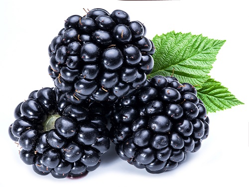 Can 1 to 3 years old baby eat BlackberryHealth benefits, nutrition value as well as side effect of this food on one year old baby to three years old baby. . Amount to be taken to maximize the health benefits minimize the negative effect on the one year old baby to three years old baby. 