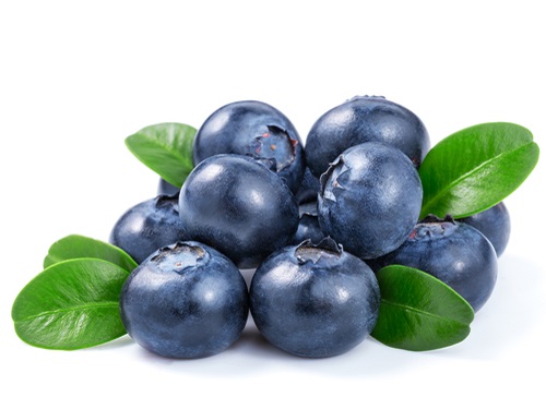 Can I eatBlueberryduring ten-months-old health benefits and nutrition value of this food as well as any side effect of this food. Is it healthy or beneficial for eat at different stage of parenthood or pregnancy