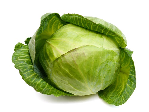 Is it safe to eat Cabbage during pregnancy,breastfeeding or whil trying to conceive? Is it healthy for infant,toddler,or children to eat Cabbage health benefits and nutrition value