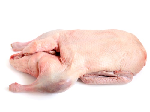 Is it safe to eat Duck during pregnancy,breastfeeding or whil trying to conceive? Is it healthy for infant,toddler,or children to eat Duck health benefits and nutrition value