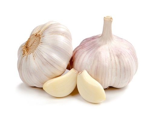 Is it safe to eat Garlic during pregnancy, breastfeeding or while trying to conceieve?Is it healthy for infant, toddler or childrent to eat?