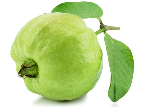 Is it safe to eat Guava during pregnancy, breastfeeding or while trying to conceieve?Is it healthy for infant, toddler or childrent to eat?