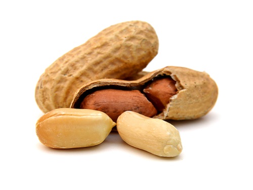 Is it safe to eat Peanut during pregnancy,breastfeeding or whil trying to conceive? Is it healthy for infant,toddler,or children to eat Peanut health benefits and nutrition value