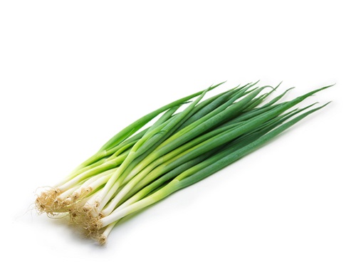 Is it safe to eat Scallions during pregnancy, breastfeeding or while trying to conceieve?Is it healthy for infant, toddler or childrent to eat?