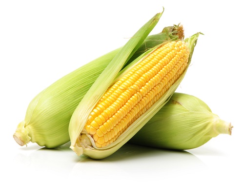 Is it safe to eat Sweet corn during pregnancy, breastfeeding or while trying to conceieve?Is it healthy for infant, toddler or childrent to eat?